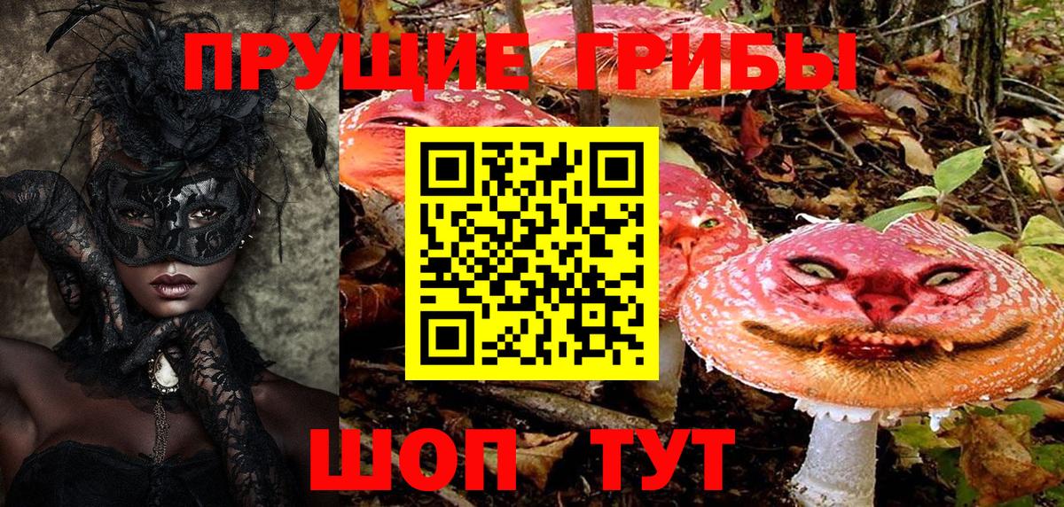 Галлюциногенные грибы Psilocybe  Вход с VPN  Псилоцибиновые грибы Magic Shrooms  Горно-Алтайск 